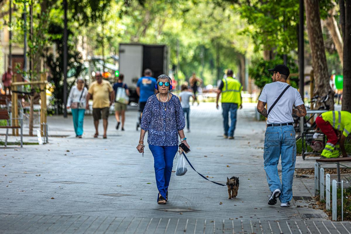 Escenas Inesperadas De La Superilla Del Eixample Fotos