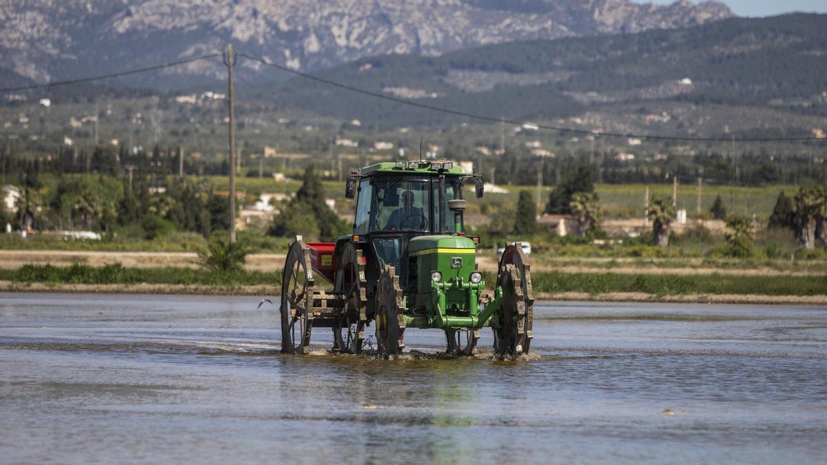 Arranca El Riego Del Arroz En El Delta Del Ebro