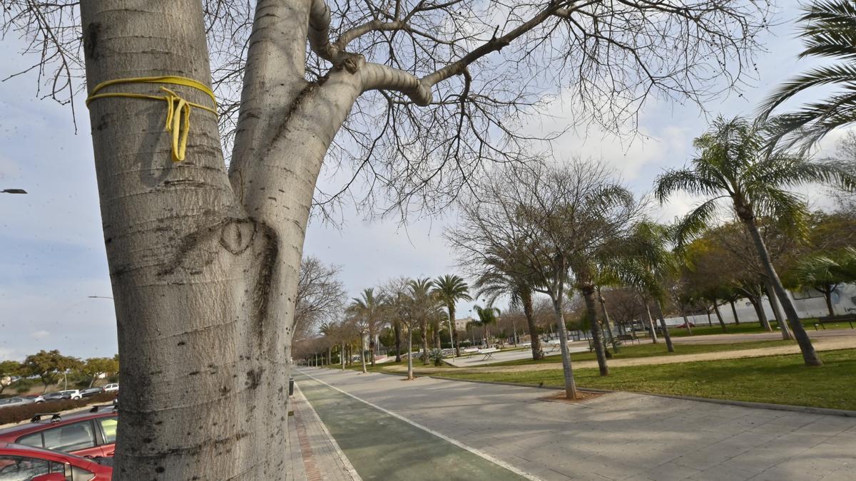 Intenta ahorcar a una mujer tras atacarla en un parque de Castellón