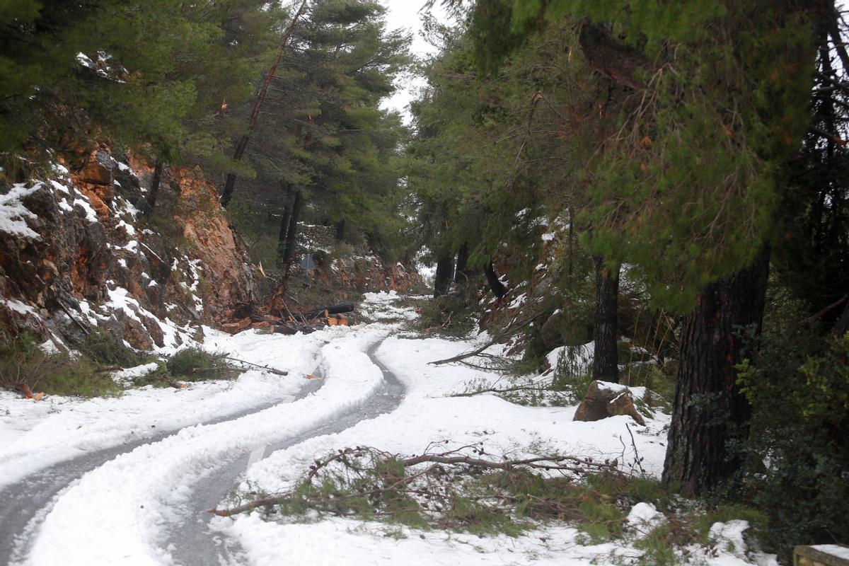 La Nieve Cubre Las Monta As De La Serra De Tramuntana En Mallorca Fotos