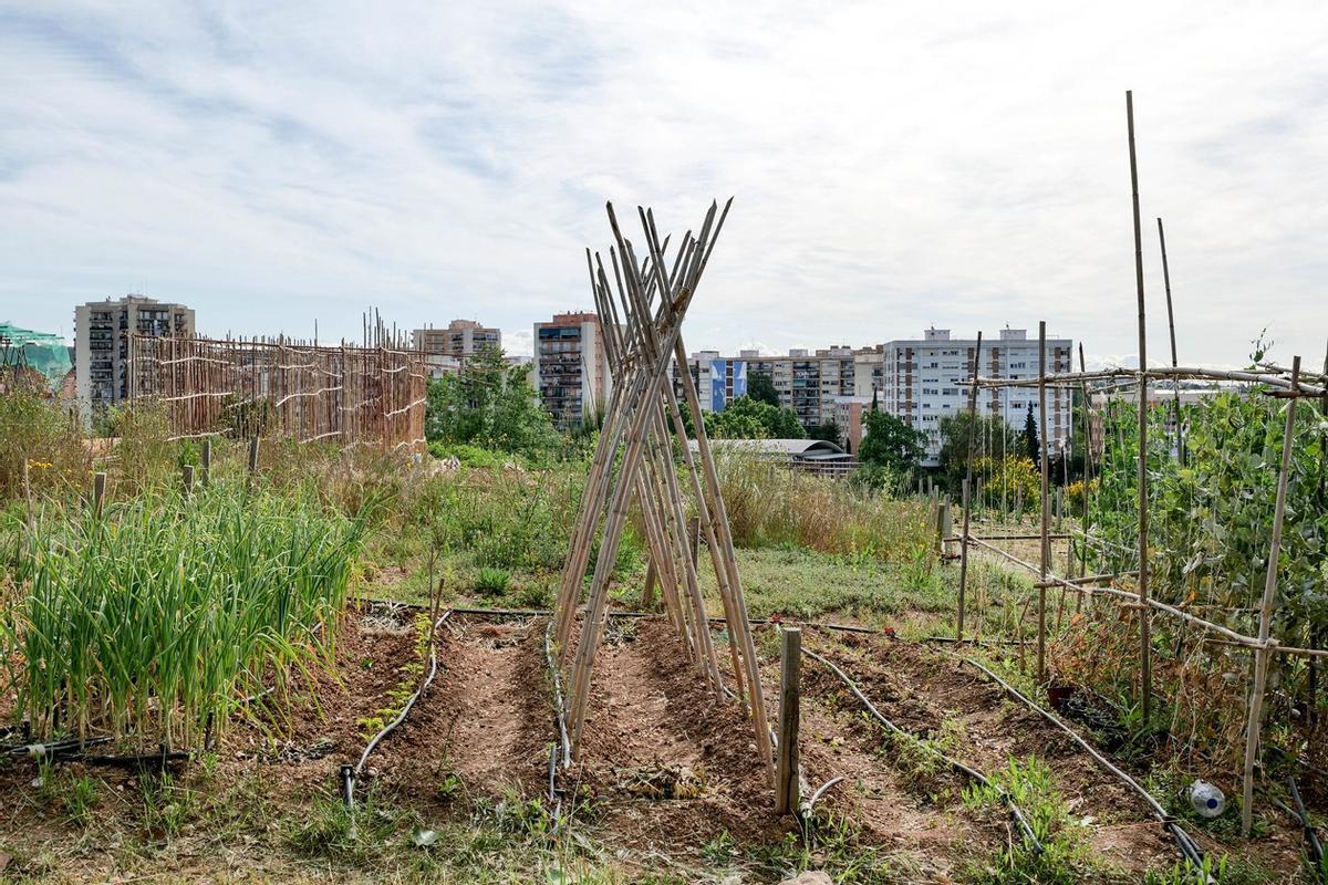 Rub Obre Un Nou Termini Per A La Sollicitud De Parcelles Als Horts