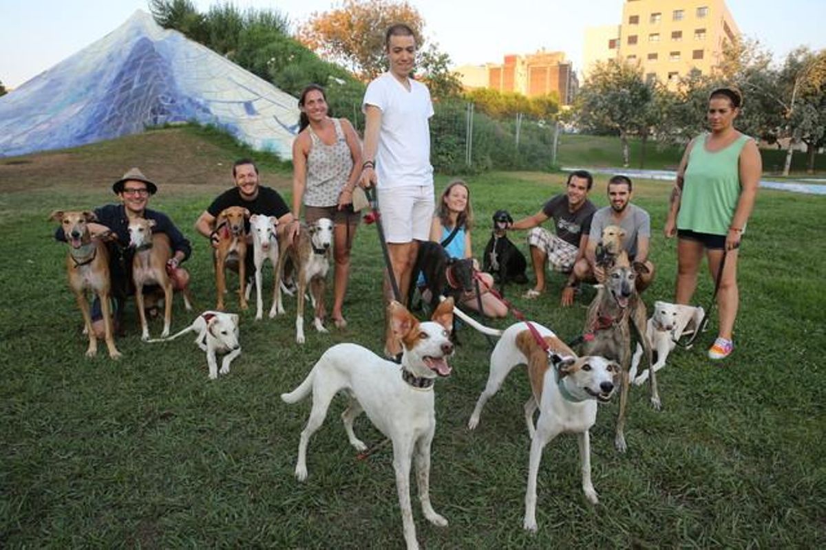 Galgos y podencos con sus dueños en el parque de la Estació del Nord de Barcelona. Galgos y podencos con sus dueños en el parque de la Estació del Nord de Barcelona.