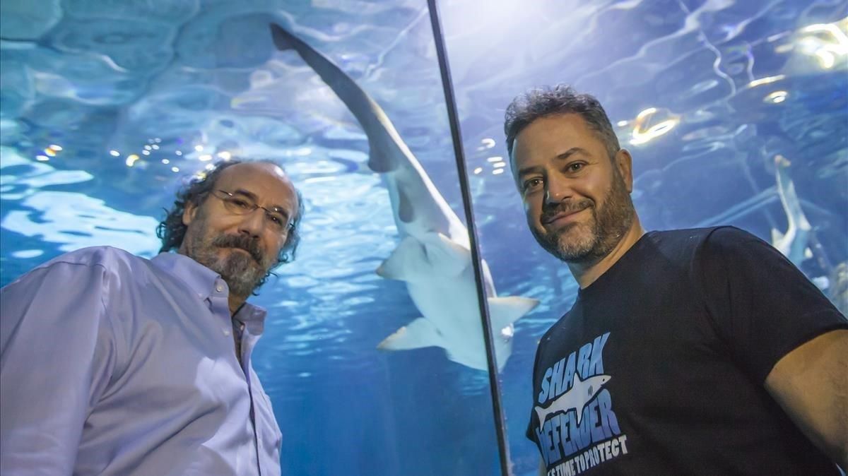 El escritor Alfonso Mateo-Sagasta y el buceador Karlos Simón, en el Aquarium de Barcelona. El escritor Alfonso Mateo-Sagasta y el buceador Karlos Simón, en el Aquarium de Barcelona.