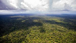 Archivo - Vista del Amazonas en la frotnera entre Brasil y Colombia