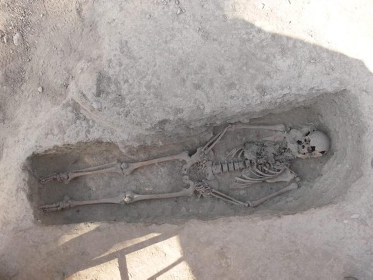 L’esquelet trobat en una fossa en una finca de Torelló.
