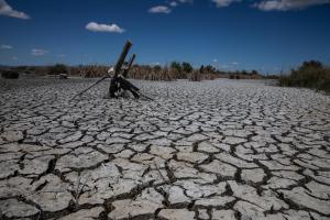 El actual estado de la reserva de Riet Vell, normalmente llena de agua. 