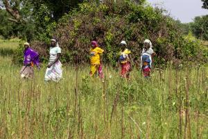 Varias mujeres en un campo en Ouahigouya, Burkina Faso.