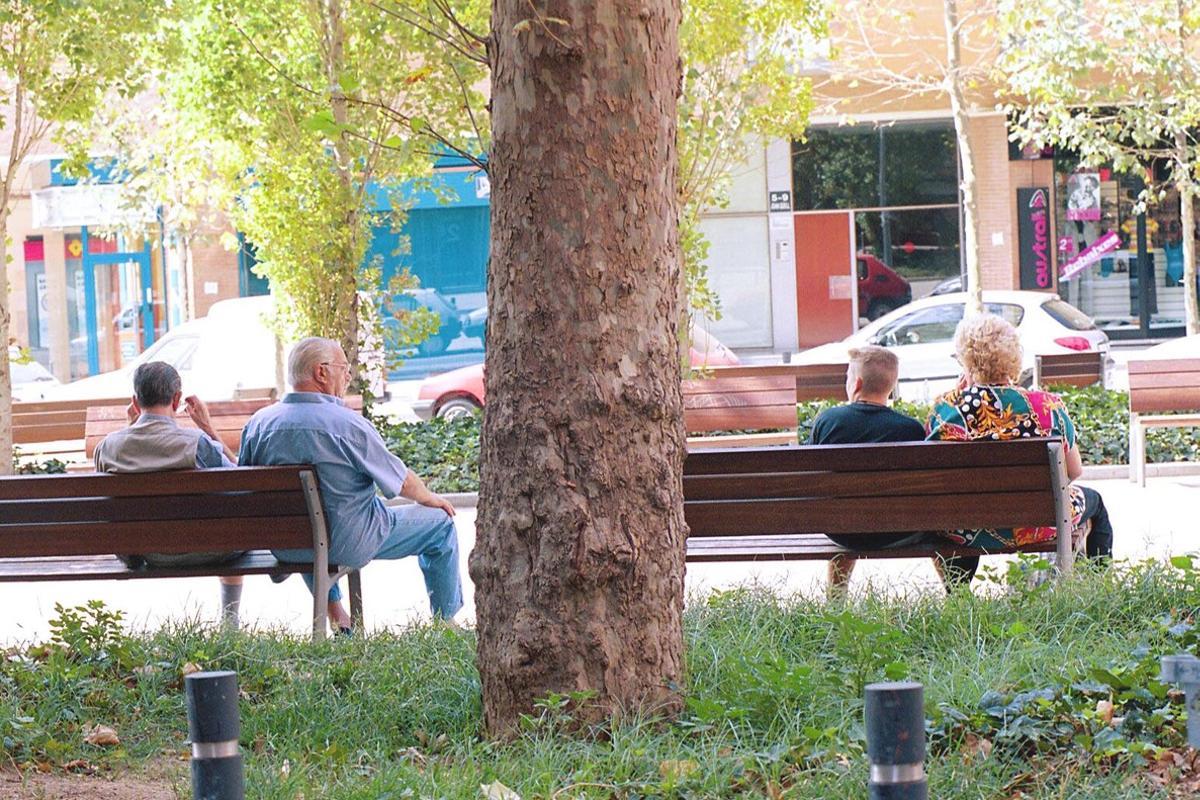 Dos parejas descansan en unos bancos a la sombra de un plátano, en Barcelona.
