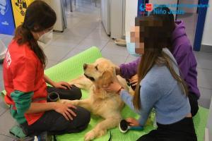 El trabajar con perros una vez a la semana mejora los trastornos de conducta alimentaria de las pacientes adolescentes