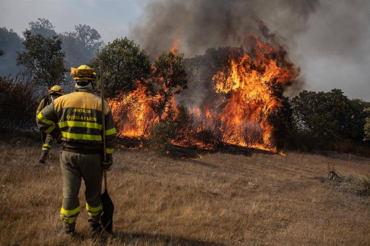 El fuego arrasó 268.000 hectáreas en 2022 en España, el triple que el año anterior