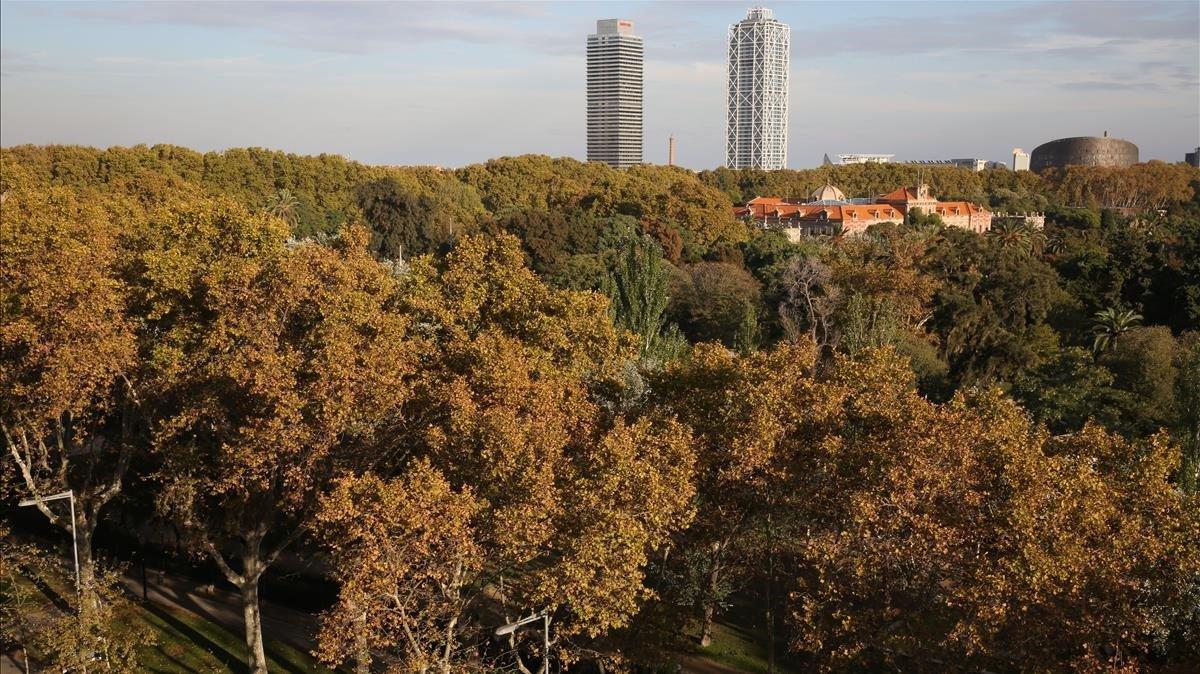 Fotografía panorámica del parque de la Ciutadella de Barcelona, en una imagen de archivo