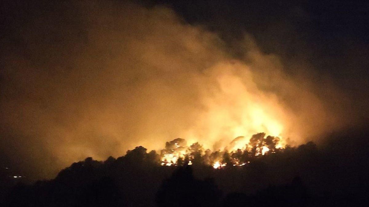 Els bombers miren d'extingir un incendi forestal a Tortosa Els bombers miren d'extingir un incendi forestal a Tortosa