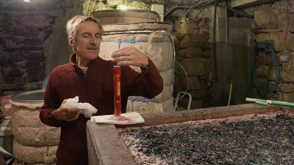 ’Vitis prohibita. Le retour des cépages résistants’, de Stephan Balay, filme que se estrena este viernes, 8, en el festival Most. ’Vitis prohibita. Le retour des cépages résistants’, de Stephan Balay, filme que se estrena este viernes, 8, en el festival Most.