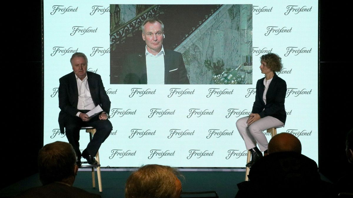 Freixenet invertirà uns 30 milions d’euros a ampliar les seves caves de Sant Sadurní Freixenet invertirà uns 30 milions d’euros a ampliar les seves caves de Sant Sadurní