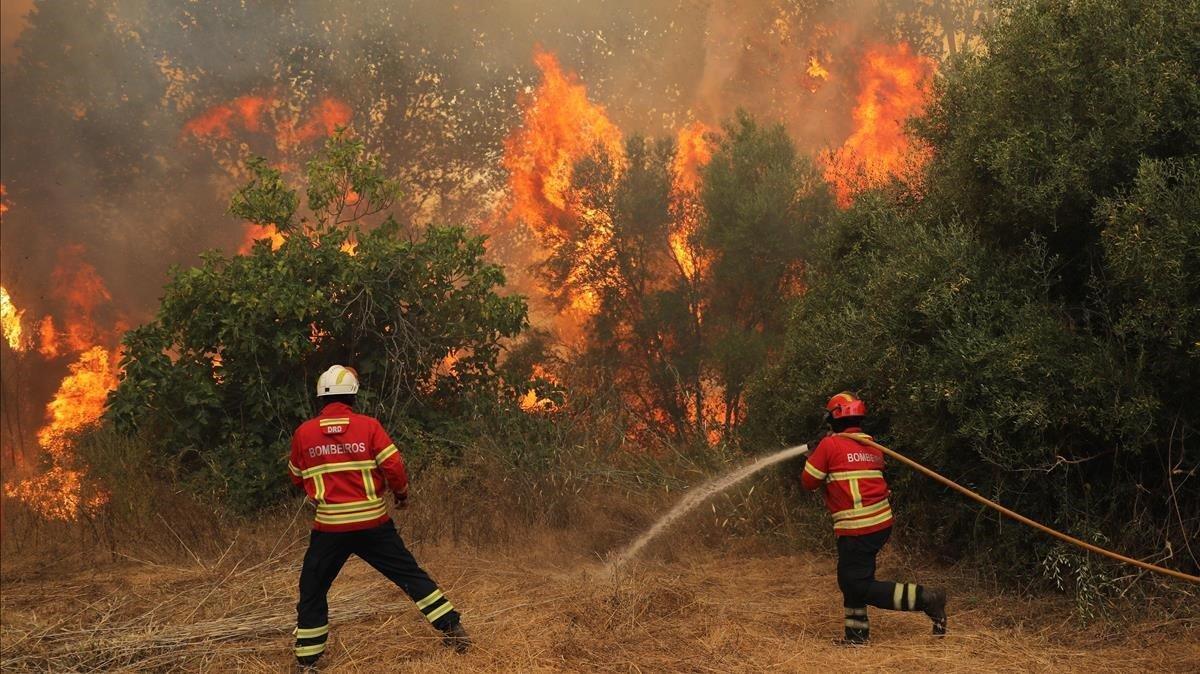 Bomberos tratan de extinguir las llamas de un incendio en el bosque