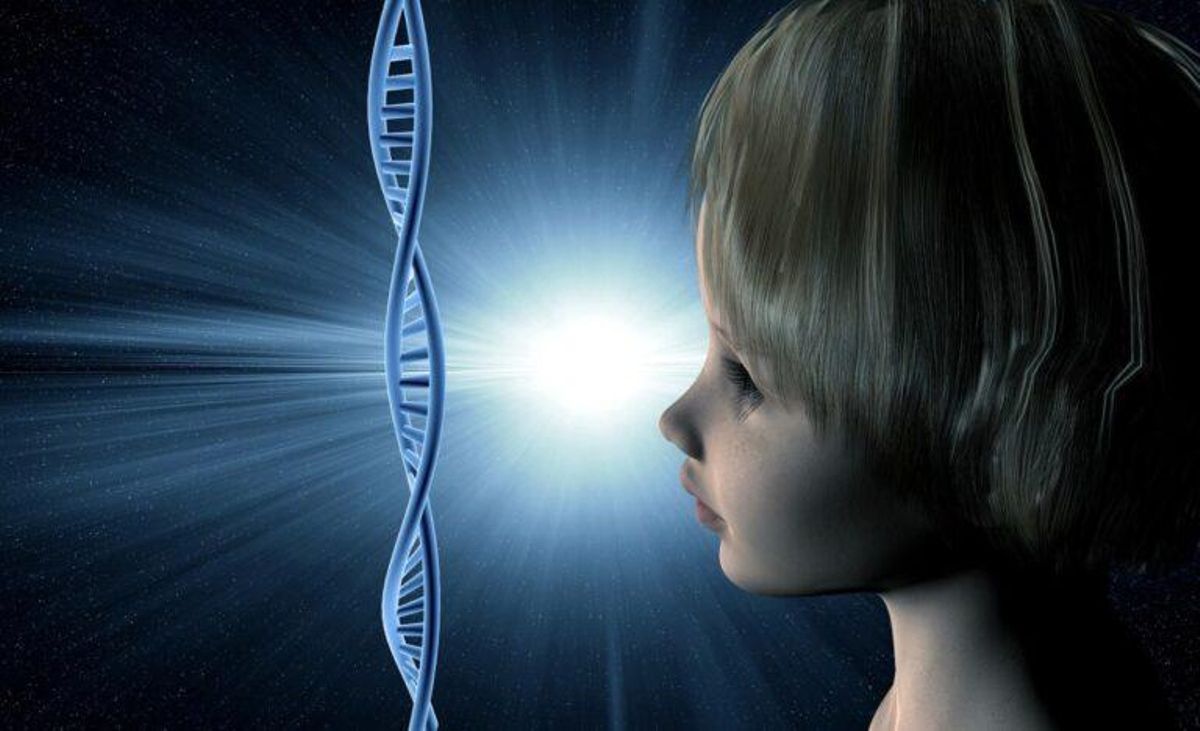 Descubren la parte del ADN que nos ha hecho humanos Descubren la parte del ADN que nos ha hecho humanos