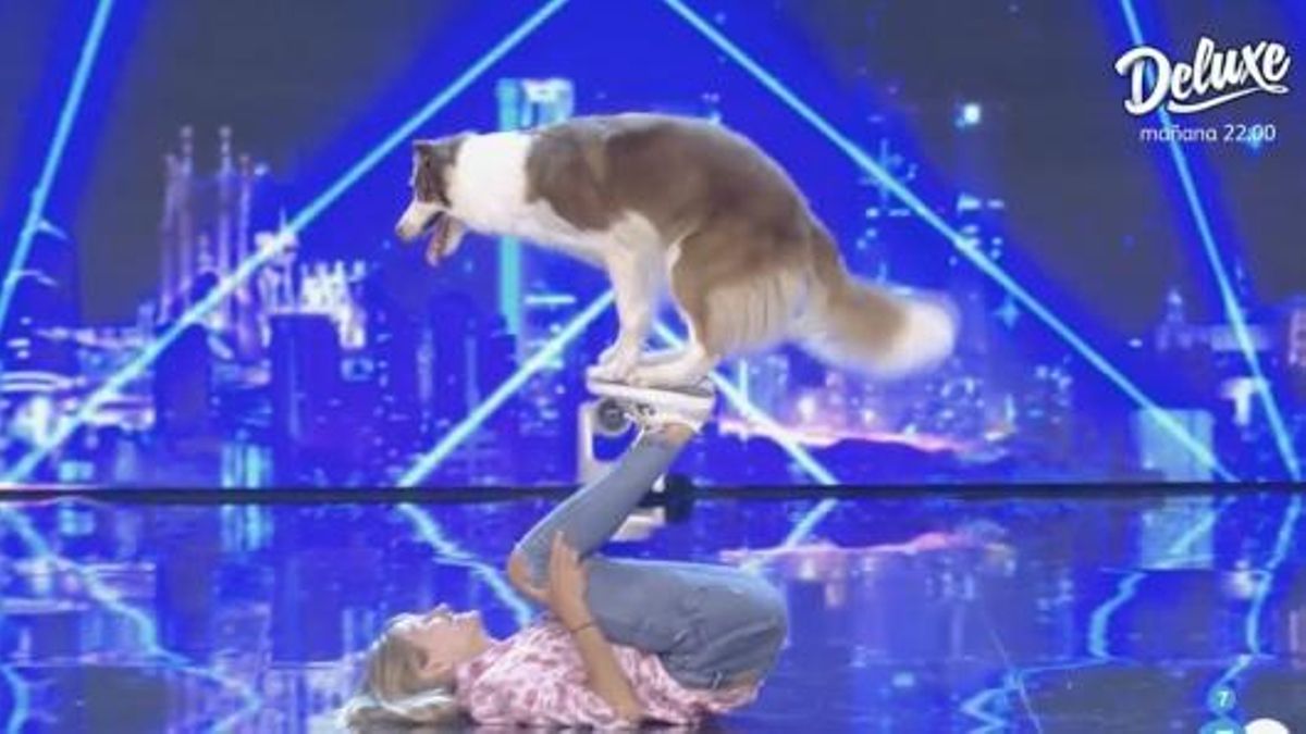 'Got Talent' vuelve a Telecinco como líder absoluto sobre la final de 'Family Feud' 'Got Talent' vuelve a Telecinco como líder absoluto sobre la final de 'Family Feud'
