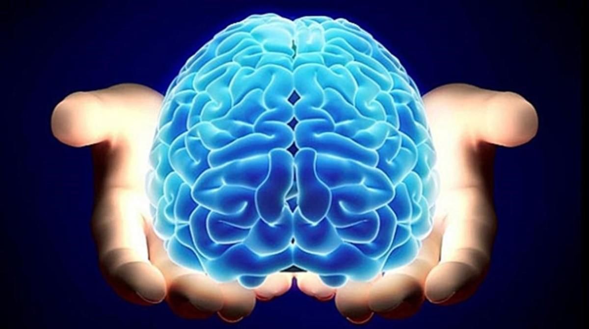 Las matemáticas del cerebro son clave en la toma de decisiones, según apunta un nuevo estudio Las matemáticas del cerebro son clave en la toma de decisiones, según apunta un nuevo estudio