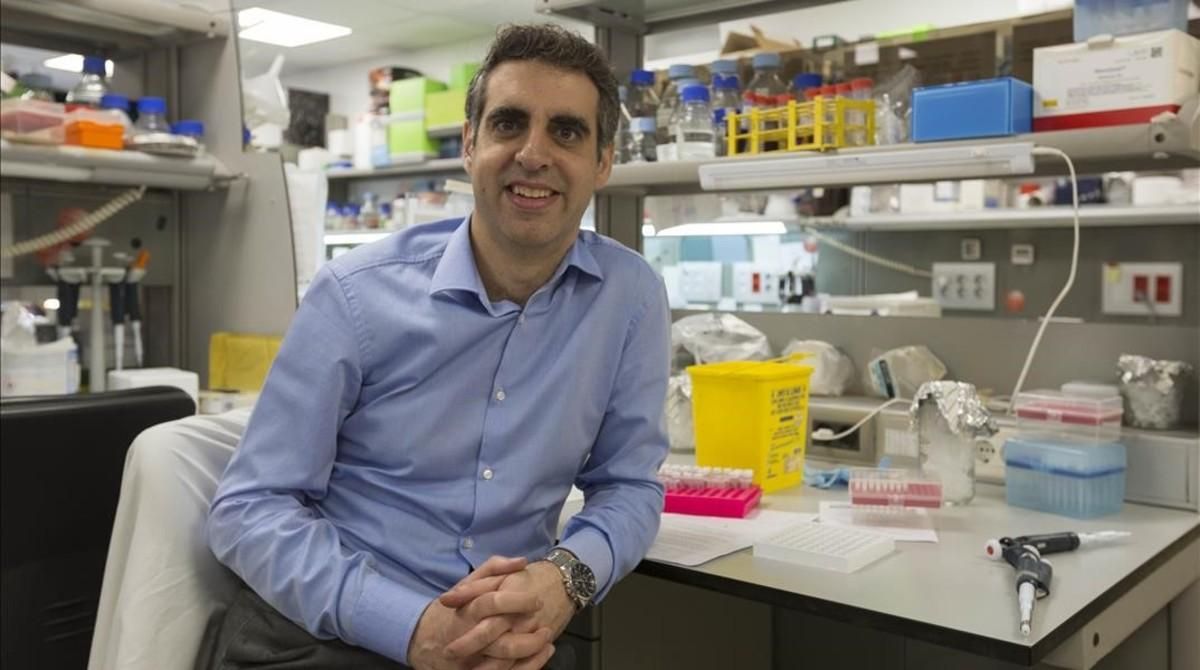 Manel Esteller, en un laboratorio del Institut d’Investigació Biomèdica de Bellvitge (Idibell), en L’Hospitalet. Manel Esteller, en un laboratorio del Institut d’Investigació Biomèdica de Bellvitge (Idibell), en L’Hospitalet.
