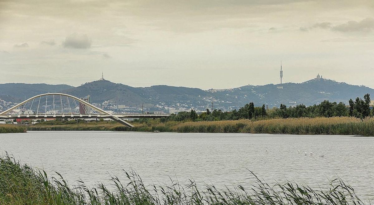 La reutilización del agua es una opción imprescindible para hacer frente al impacto de las sequías. La reutilización del agua es una opción imprescindible para hacer frente al impacto de las sequías.