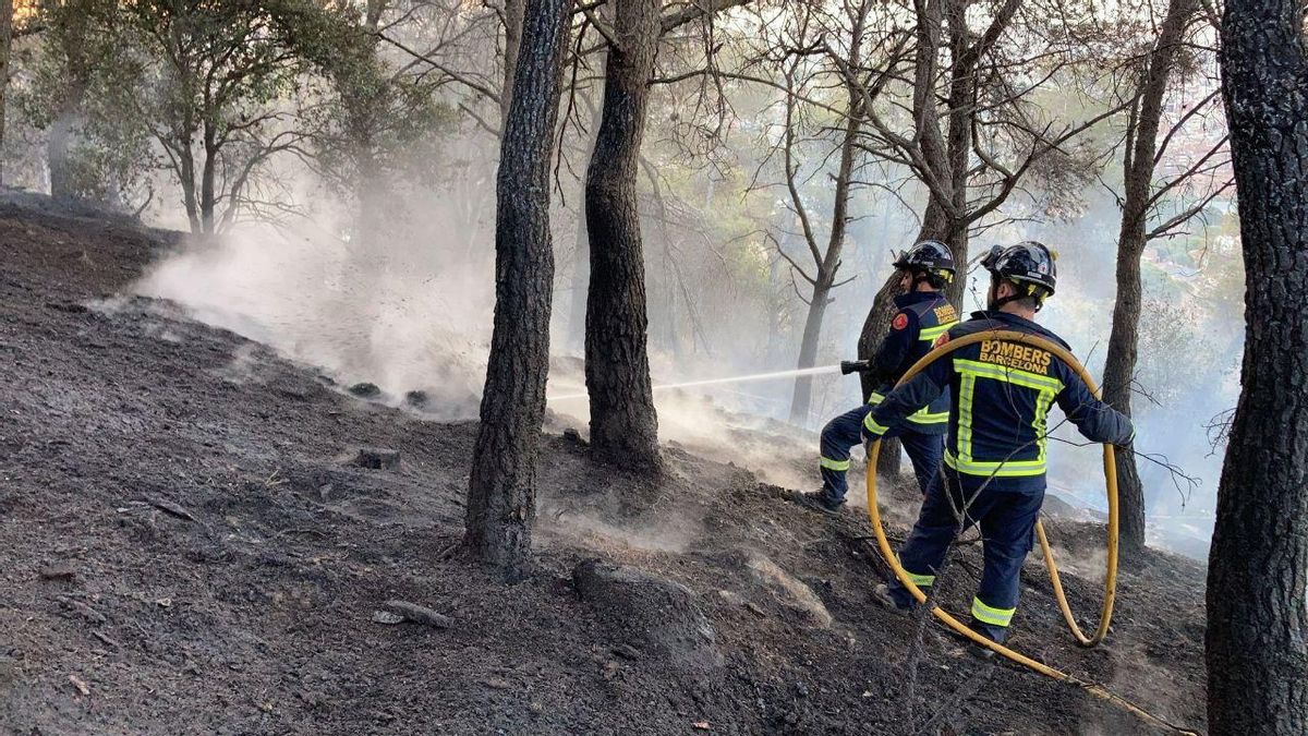 El cos de Bombers activa la campanya forestal El cos de Bombers activa la campanya forestal
