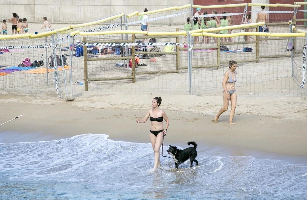 Zona en obras para acoger la playa canina en Llevant, donde ya acuden propietarios de mascotas, a veces por falta de información.