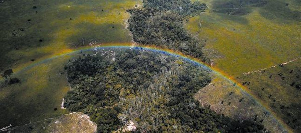 Vista aérea de un bosque deforestado en el estado brasileño de Pará, en la Amazonia. Vista aérea de un bosque deforestado en el estado brasileño de Pará, en la Amazonia.