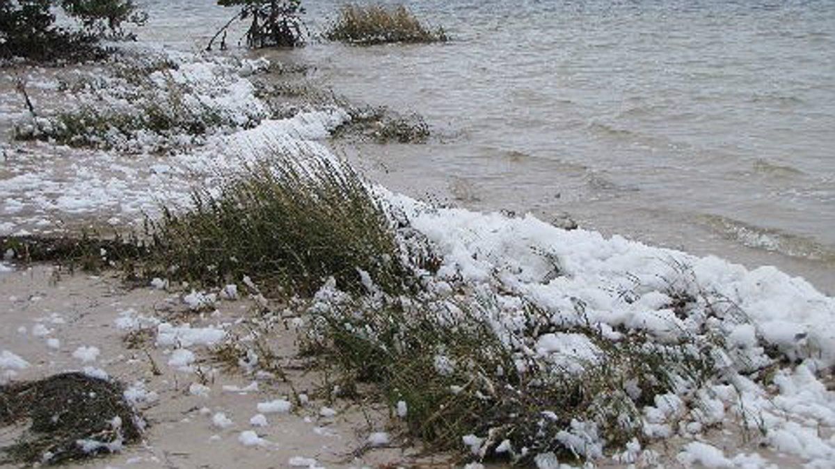 Nieve a orillas del mar en Florida (Estados Unidos). Nieve a orillas del mar en Florida (Estados Unidos).