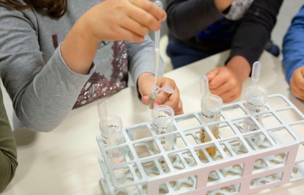 L’Hospitalet pone en marcha un programa para fomentar la ciencia entre alumnos la ciudad. L’Hospitalet pone en marcha un programa para fomentar la ciencia entre alumnos la ciudad.