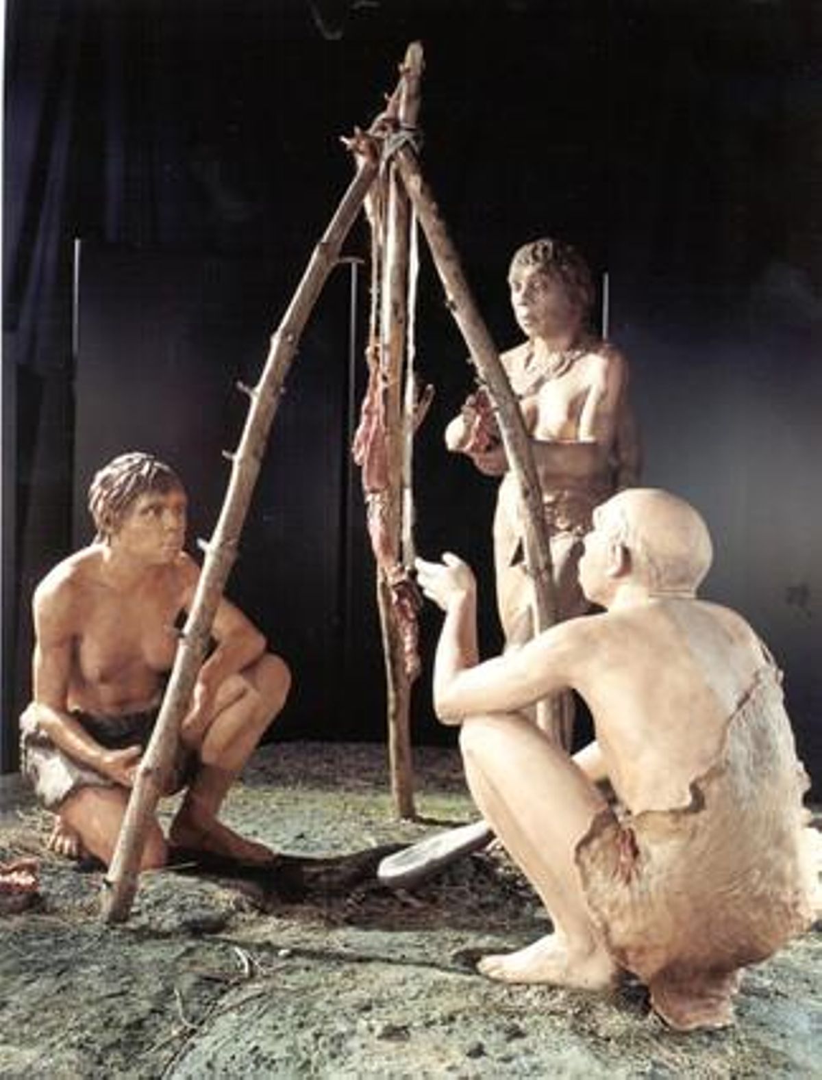 Reconstrucción de un hogar de neandertales. Reconstrucción de un hogar de neandertales.