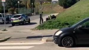 VÍDEO | Investiguen una presumpta agressió d’uns agents de la Policia Local de Mataró a un detingut