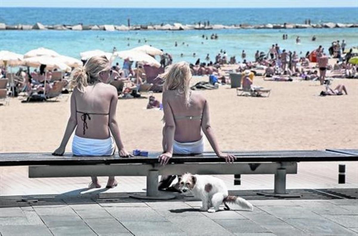 Dos turistas observan a los bañistas de la Barceloneta ajenasal alivio del perro.