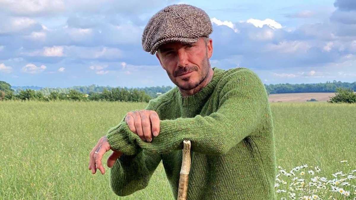 David Beckham venderá su propia miel orgánica.