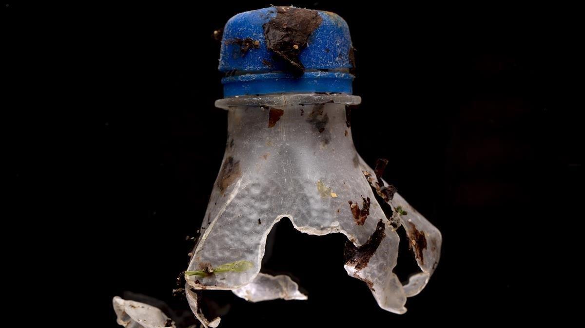 Botella de plástico en descomposición, fotografiada en el marco del proyecto de concienciación sobre microplásticos