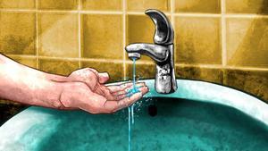 Reportatge il·lustrat | Viure amb menys aigua: fórmules enginyoses d’aprofitament