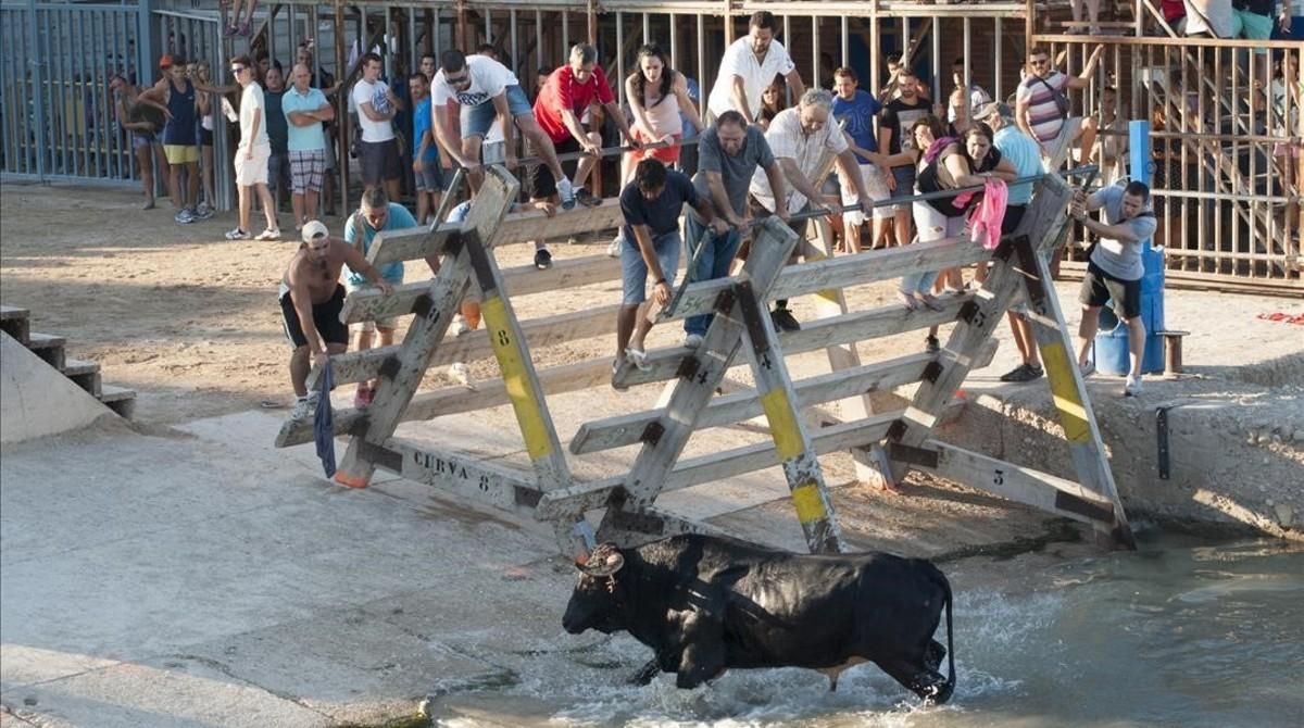 Correbous en Les Cases d’Alcanar. Correbous en Les Cases d’Alcanar.