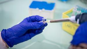 Personal del laboratorio del Instituto Químico de Sarrià IQS trabajando en una fase todavía preclínica para el desarrollo de una vacuna contra el covid, el pasado día 11.