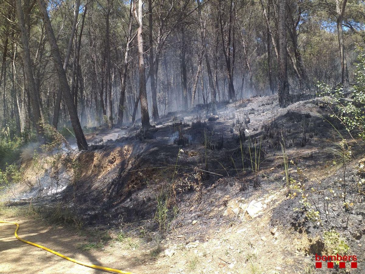 Un incencio quema 6.000 metros cuadrados en Gavà Un incencio quema 6.000 metros cuadrados en Gavà
