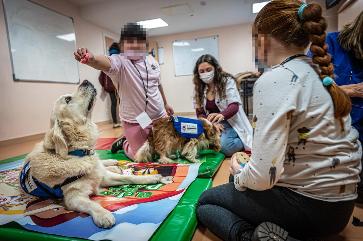 Terapia con perros, en el hospital de día de niños del Clínic.