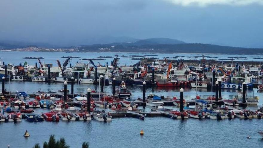 La pérdida de flota se ralentiza en Galicia pese al impacto del COVID y del gasóleo