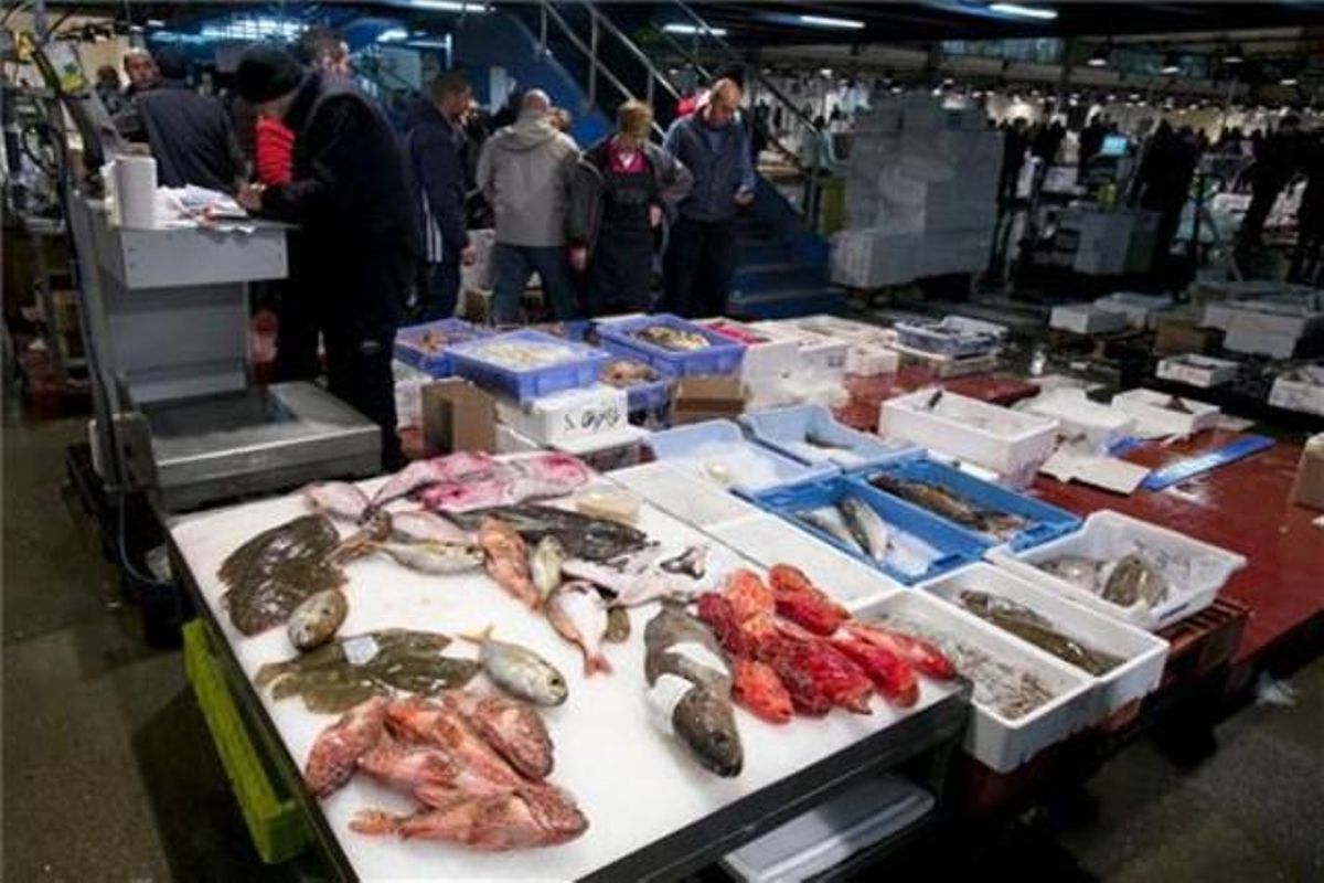 Puesto de pescado en Mercabarna. Puesto de pescado en Mercabarna.