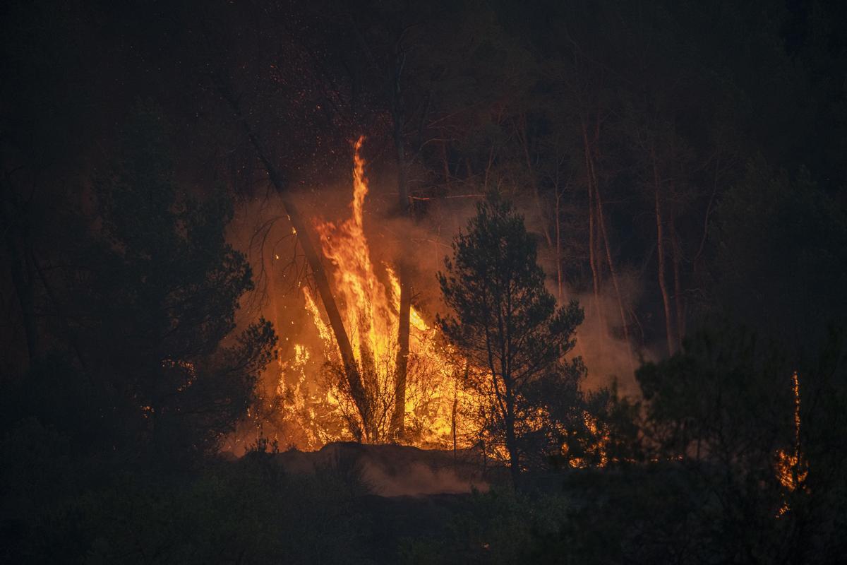 Catalunya ha activat el màxim nivell de risc d’incendi forestal més cops que mai aquest any