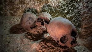 Restos humanos hallados en un cementerio de sacerdotes del siglo IV a.C, en la provincia egipcia de Minia. 