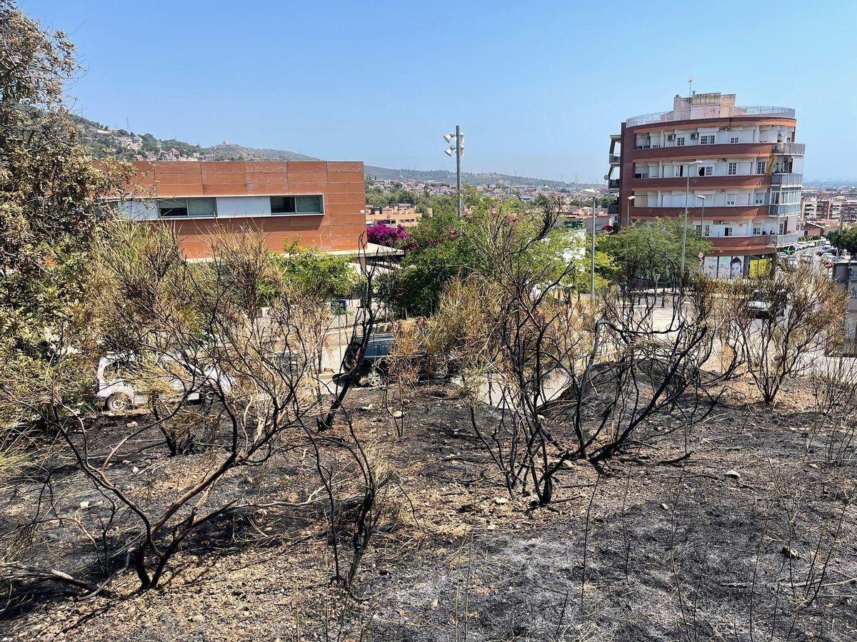 Un incendi crema 200 m² de vegetació a Gavà Un incendi crema 200 m² de vegetació a Gavà