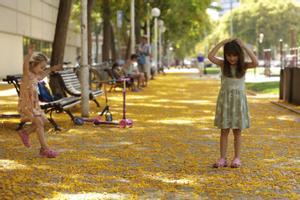 Esta es la flor amarilla silvestre que no dejas de ver por las calles de Barcelona