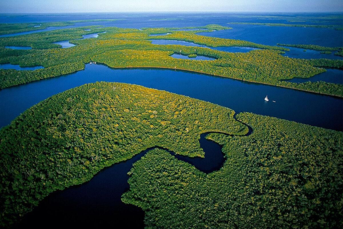 El cambio climático amenaza joyas naturales únicas en el mundo El cambio climático amenaza joyas naturales únicas en el mundo