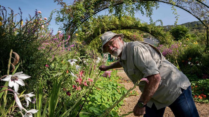 El jardinero que reverdeció los cuadros de Monet - Vimarsana News