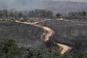 ¿Qui crema els nostres boscos? El retrat de l’incendiari