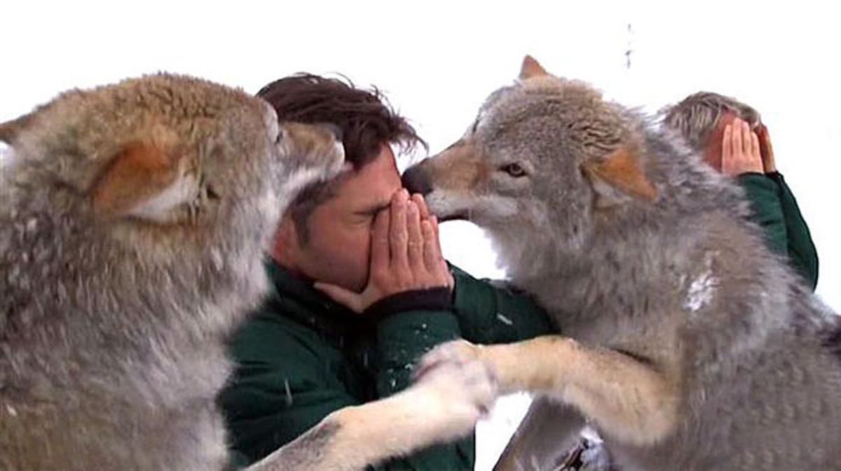 El beso del lobo