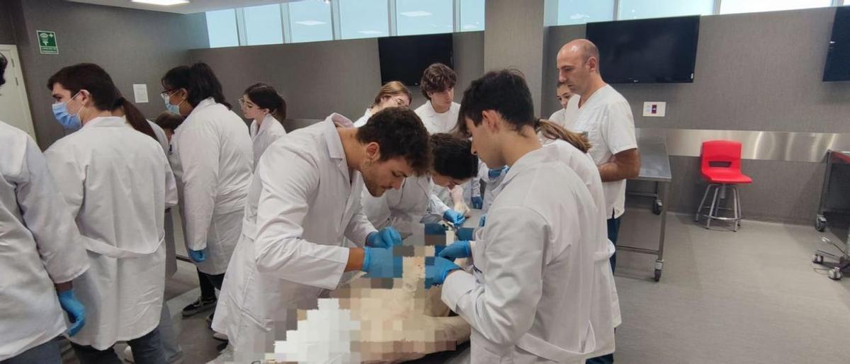 Trabajo vuelve a citar el próximo lunes a patronal y sindicatos para cerrar el Estatuto del Becario Trabajo vuelve a citar el próximo lunes a patronal y sindicatos para cerrar el Estatuto del Becario
